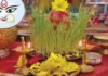 Navratri Rituals:शारदीय नवरात्रीमध्ये जवाच्या पेरणीचे महत्त्व|Significance of Sowing Barley in Sharadiya Navratri Navratri Rituals