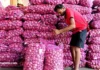 Onion Prices:केंद्र सरकारने कांद्याच्या दरात हस्तक्षेप करणे टाळावे; शेतकऱ्यांची मागणी | The central government should refrain from interfering with onion prices; Demand of farmers Onion Prices