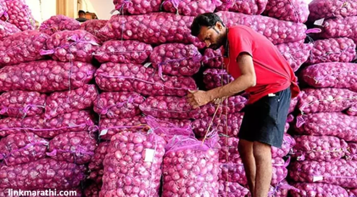 Onion Prices:केंद्र सरकारने कांद्याच्या दरात हस्तक्षेप करणे टाळावे; शेतकऱ्यांची मागणी | The central government should refrain from interfering with onion prices; Demand of farmers Onion Prices