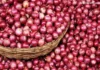 Onion Prices:सणासुदीचा हंगाम जवळ येताच कांद्याच्या वाढल्या किमती | Onion prices have increased as the festive season approaches Onion Prices