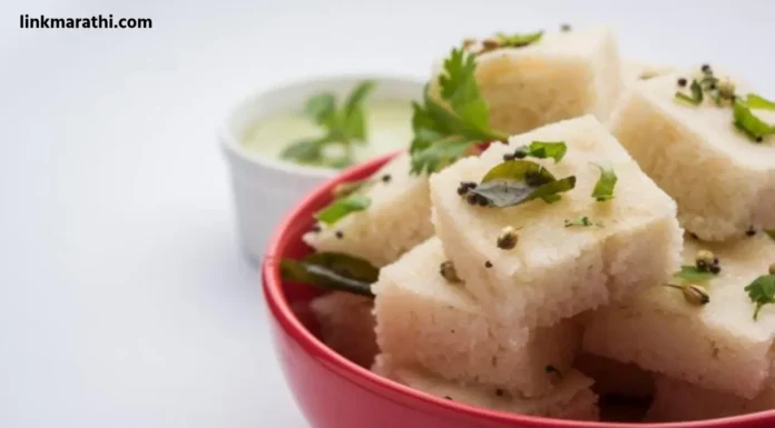 Navratri Special:साबुदाणा ढोकळा रेसिपी – एक स्वादिष्ट उपासाचा ढोकळा | Sabudana Dhokla Recipe – A delicious fasting dhokla Navratri Special