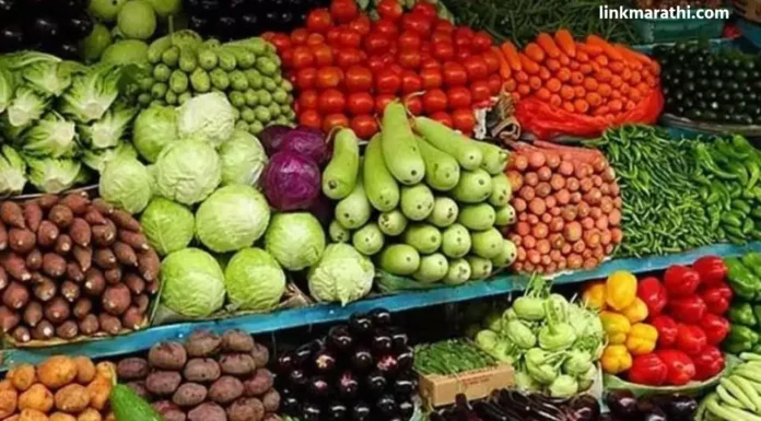 Vegetable Prices:पितृपक्षात बीन्स आणि हिरव्या मिरच्यांसह भाज्यांच्या वाढल्या किमंती|Increased prices of vegetables including beans and green chillies in Pitrupaksha Vegetable Prices