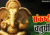 Sankashti Chaturthi 2023:संकष्टी चतुर्थीची तारीख, शुभ वेळ, विधी आणि चंद्रोदय पाहा | See Sankashti Chaturthi Date, Auspicious Time, Rituals and Moonrise Sankashti Chaturthi 2023