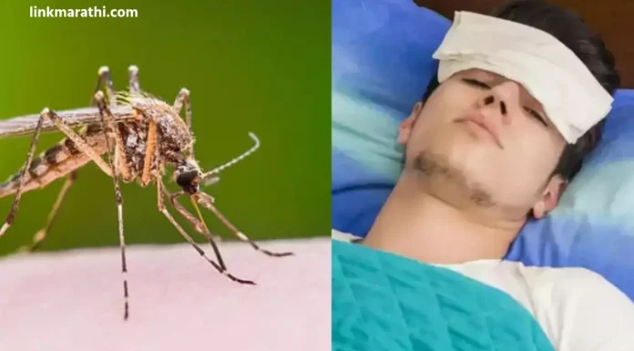 Zika Symptoms:झिका व्हायरसने चिंता निर्माण केली;पुणे, कोल्हापुरात आढळून आले रुग्ण | Zika virus raises concern; patients found in Pune, Kolhapur Zika Symptoms