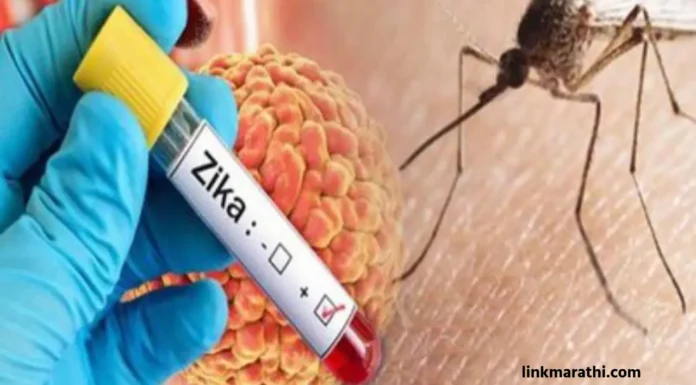 Kolhapur News:झिका व्हायरस अपडेट; जिल्ह्यात 6 प्रकरणे आढळून आल्याने चिंता वाढली आहे | Zika Virus Update; Concerns Rise as 6 Cases Detected in the District Kolhapur News