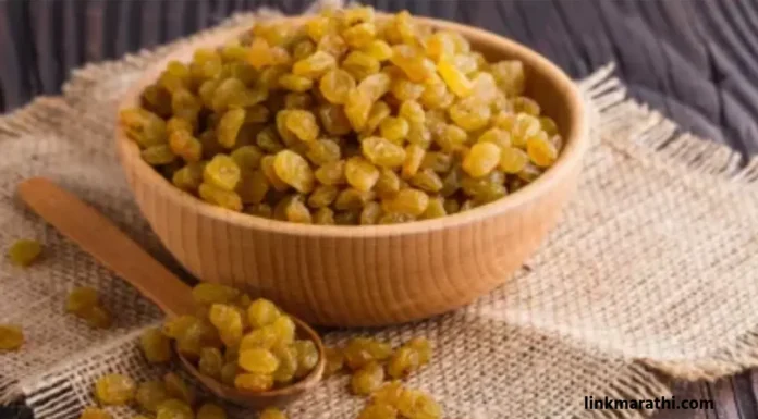 Morning Wellness:’मनुका’ चे आरोग्य फायदे तुम्हाला माहित असणे आवश्यक आहे | You must know the health benefits of ‘Manuka’ आरोग्य फायदे