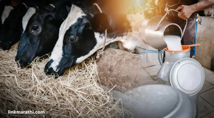 Maharashtra milk crisis:कोल्हार-घोटी मार्गावरील वाहतूक थांबवणारे दुग्ध उत्पादक शेतकरी | Dairy farmers stop traffic on Kolhar-Ghoti route Maharashtra milk crisis