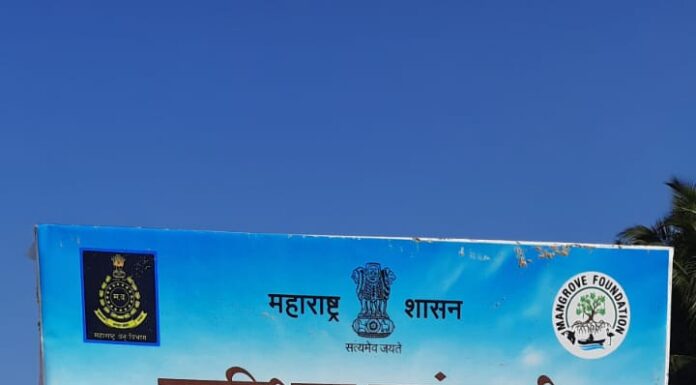 वायंगणी समुद्रकिनारा ऑलिव्ह रिडले कासव महोत्सव