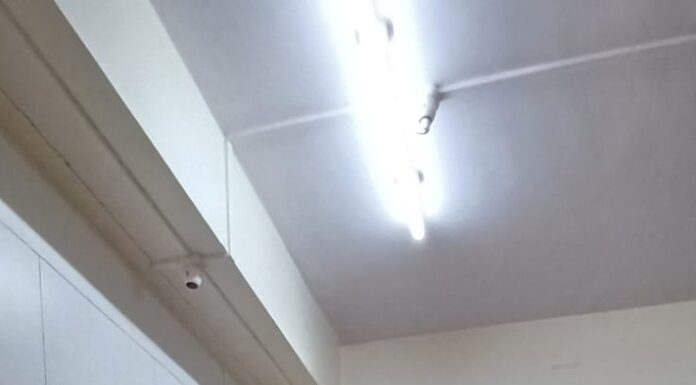 शिवकृपा सहकारी पतपेढी गडहिंग्लज शाखेत महिला दिन उत्साहात संपन्न