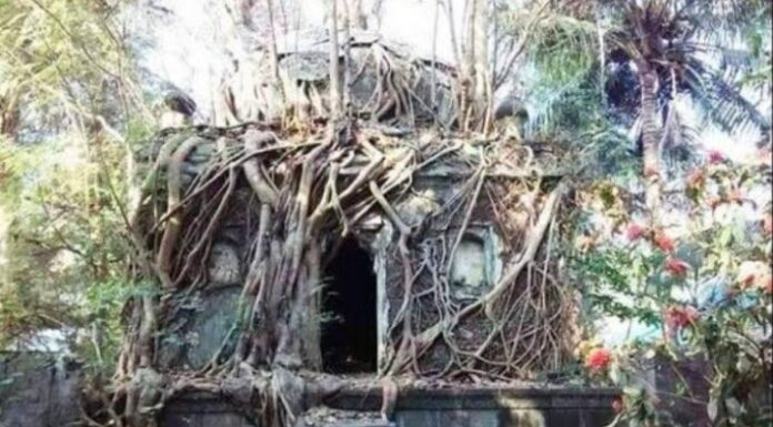 सुभेदार भीमराव बेलोसे यांची समाधी