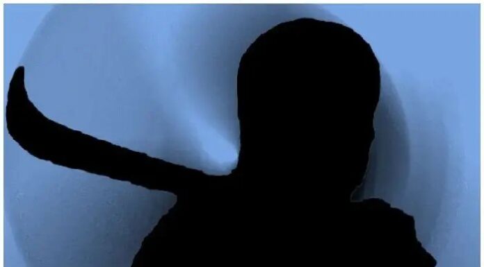 पोलीस अधिकाऱ्यांवर कोयत्याने हल्ला ; या गुन्हेगारांना वरदहस्त असल्याचे आरोप ?