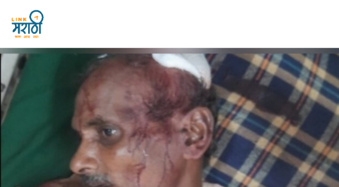 पुन्हा गव्याचा हल्ला