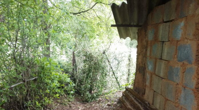 मागासवर्गीय समाजाचा शेताकडे व दफनभूमीकडे जाणाऱ्या वहीवाटीचा रस्ता खुला करून द्यावा