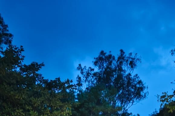 आणि म्हणूनच वन्यप्राणी हल्ला कायद्यात सुधारणा हवी