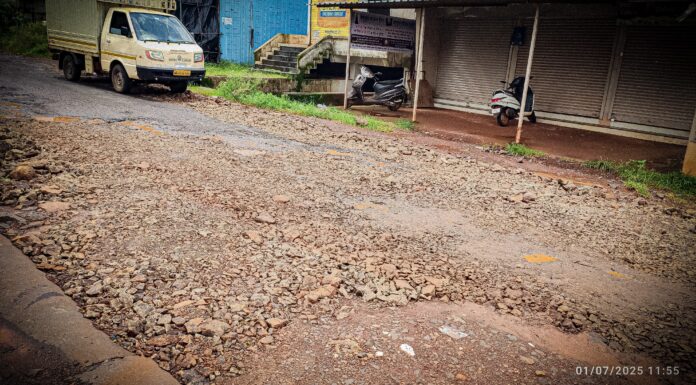 मनात घेतलं तर सर्व काही होतं… स्व. विमलाबाई सरदेसाई ट्रस्ट, लाटगावचे आदर्शवत कार्य