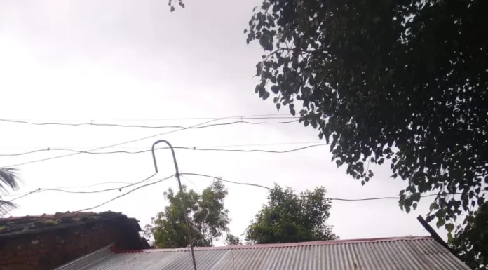 लिंक मराठी बातमीचा इम्पॅक्ट.. वृद्ध निराधार गंगाराम कांबळेंना मदतीचा ओघ सुरू