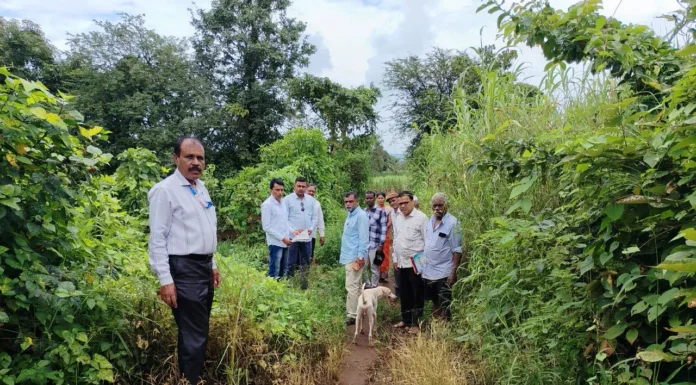 सेवा पंधरवडा कालावधीत सर्वांनी समर्पित भावनेने सहभाग नोंदवून काम करा- तहसीलदार समीर माने यांचे आवाहन