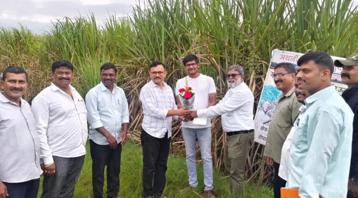 अथणी शुगर्स येथील ऊसाच्या प्रायोगिक प्लॉटला ऊससंशोधन केंद्राच्या शास्त्रज्ञानची भेट