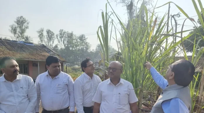आजरा साखरच्या प्रायोगिक ऊस प्लान्टेशनला व्ही. एस. आय. च्या महासंचालकांची भेट